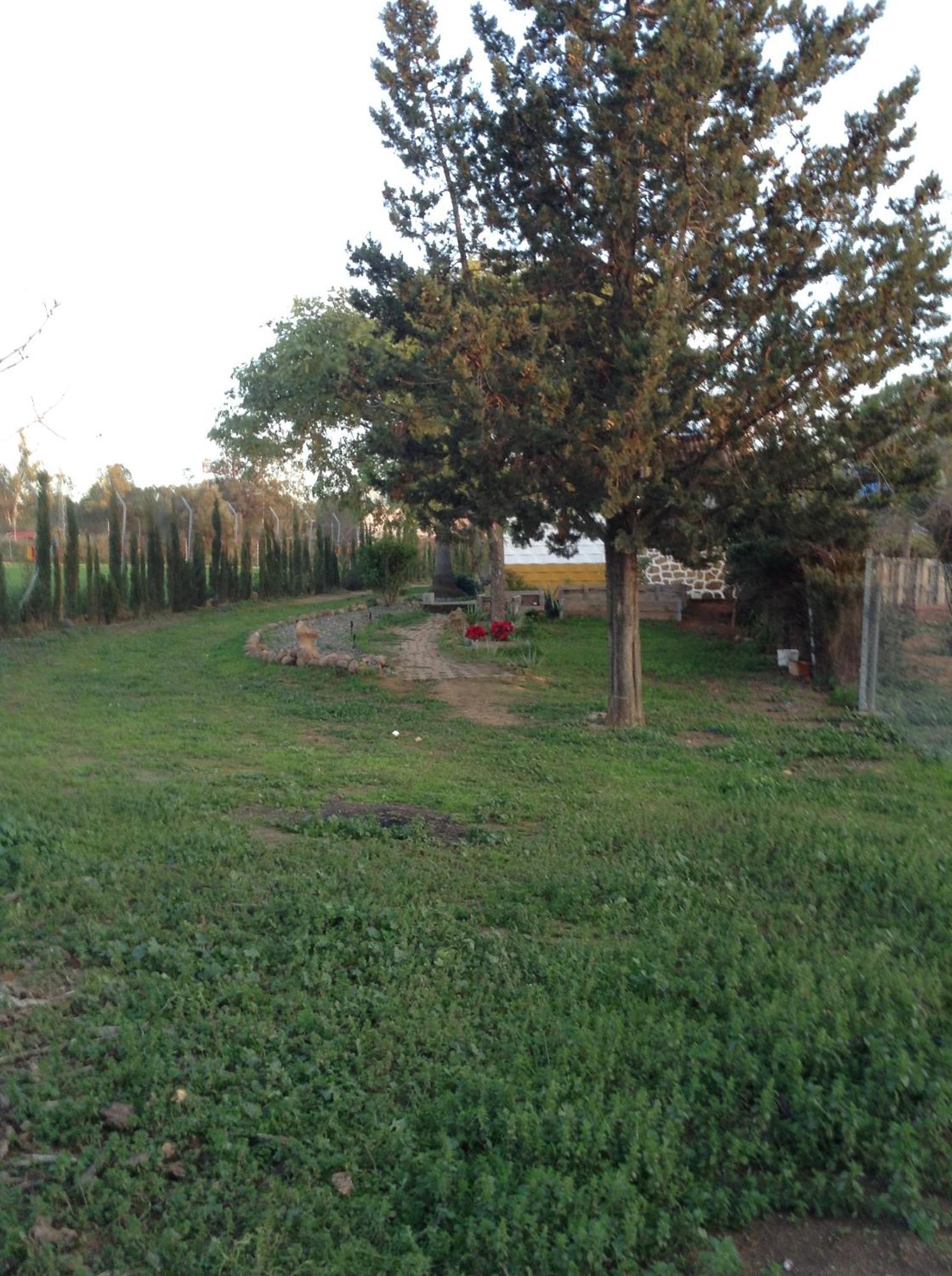 Huerta El Genoves Villa Carmona  Ngoại thất bức ảnh