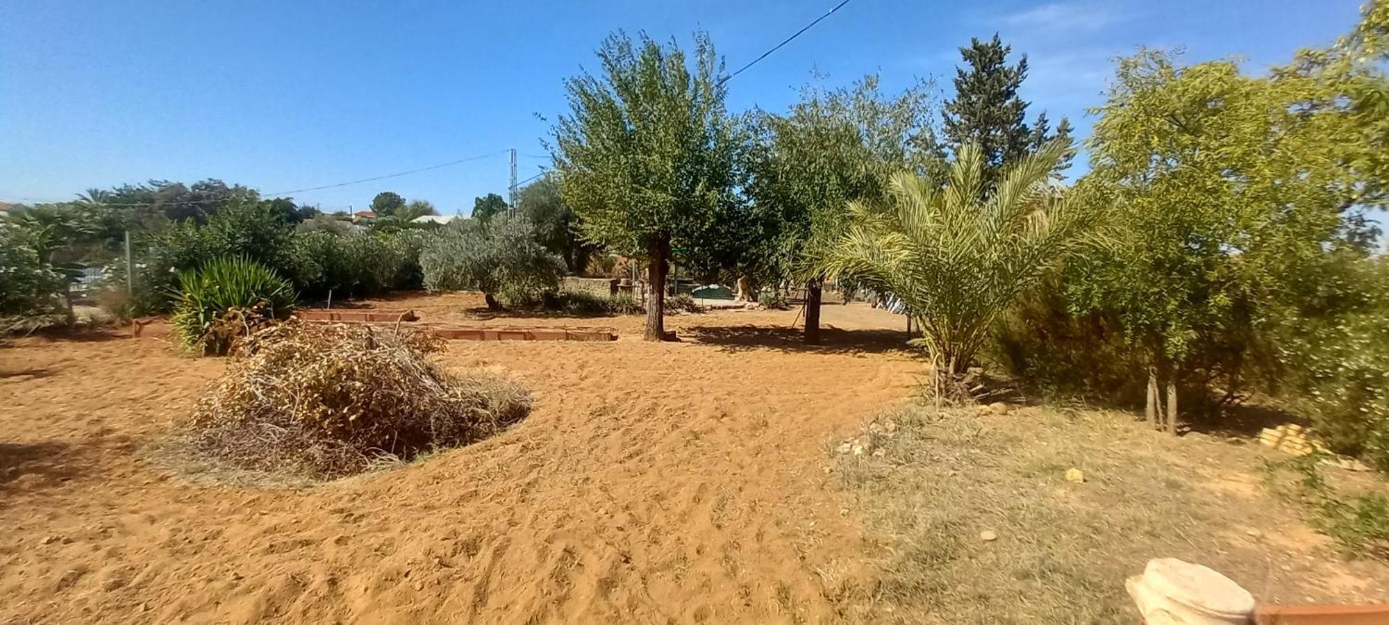 Huerta El Genoves Villa Carmona  Ngoại thất bức ảnh